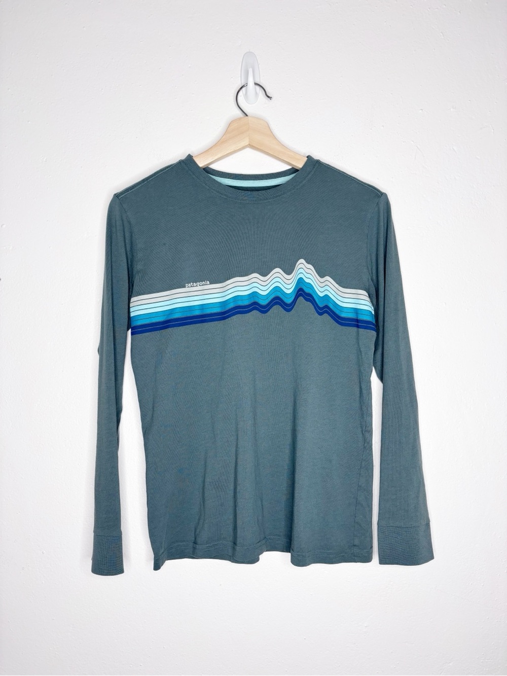 Patagonia Kids Regenerative Organic Cotton Long Sleeve Tee Ridge Rise Stripe L